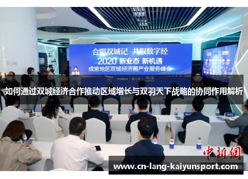 如何通过双城经济合作推动区域增长与双羽天下战略的协同作用解析