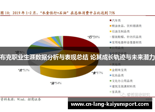 布克职业生涯数据分析与表现总结 论其成长轨迹与未来潜力